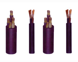 YZ,YC,YQ,YZW,YCW,YQW���׵��� 