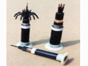 ��Ҫ˵��:��ȼ����