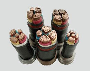 ��������ȼ����ϵ��