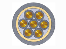 ������ʢ����-�����������������